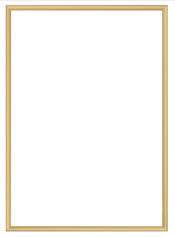 Posterlijst goud